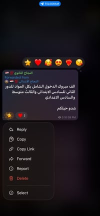 ثالث متوسط • رياضيات-فيزياء • دور ثاني