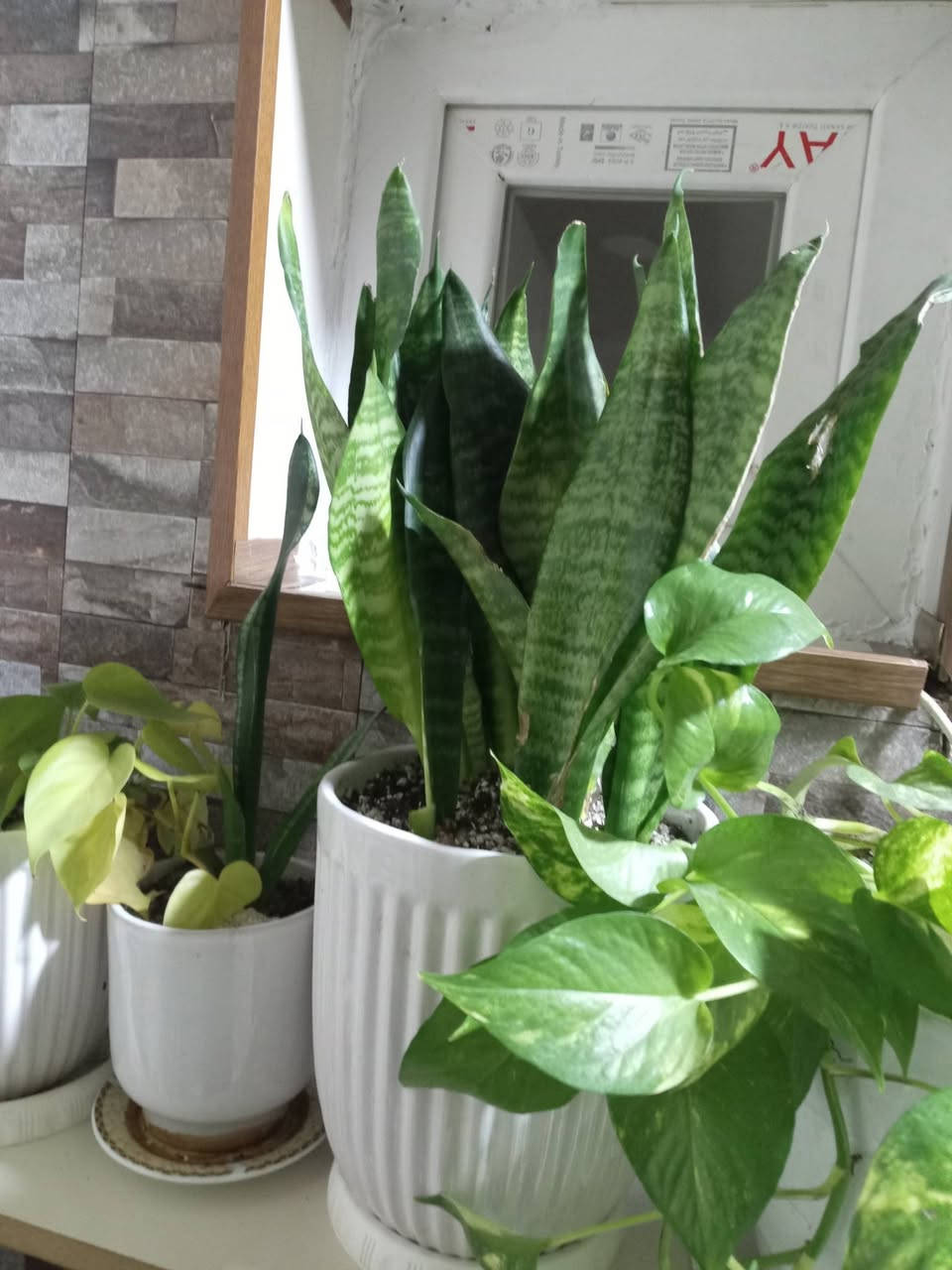 لەچوارقوڕنە فەڕشە کان دانەی دونیو بە سێو نیو 400مەجال


**إذا كنت صاحب هذا الإعلان وتريد حذفه لأي سبب، رجاءا أرسل رسالة إلى الدعم الفني**