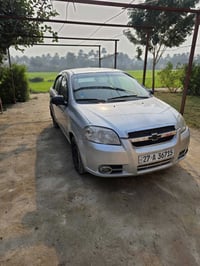 افيو • ٢٠١٣ • نجف العباسيه