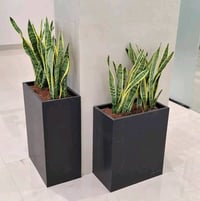 سنادين فوم ضد الماء والرطوبه متوفر بزرع طبيعي ضلي أو صناعي حسب الطلب و...