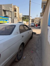 بطه فصل • مكفولة • بصرة