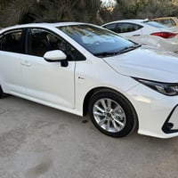 كورلا هايبرد • ٢٠٢٥ • رقم بغداد