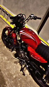 شاينك 2025 • أوراق كاملة • كفالة عامة