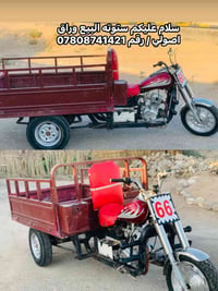 ستوته • وراق اصولي • للبيع