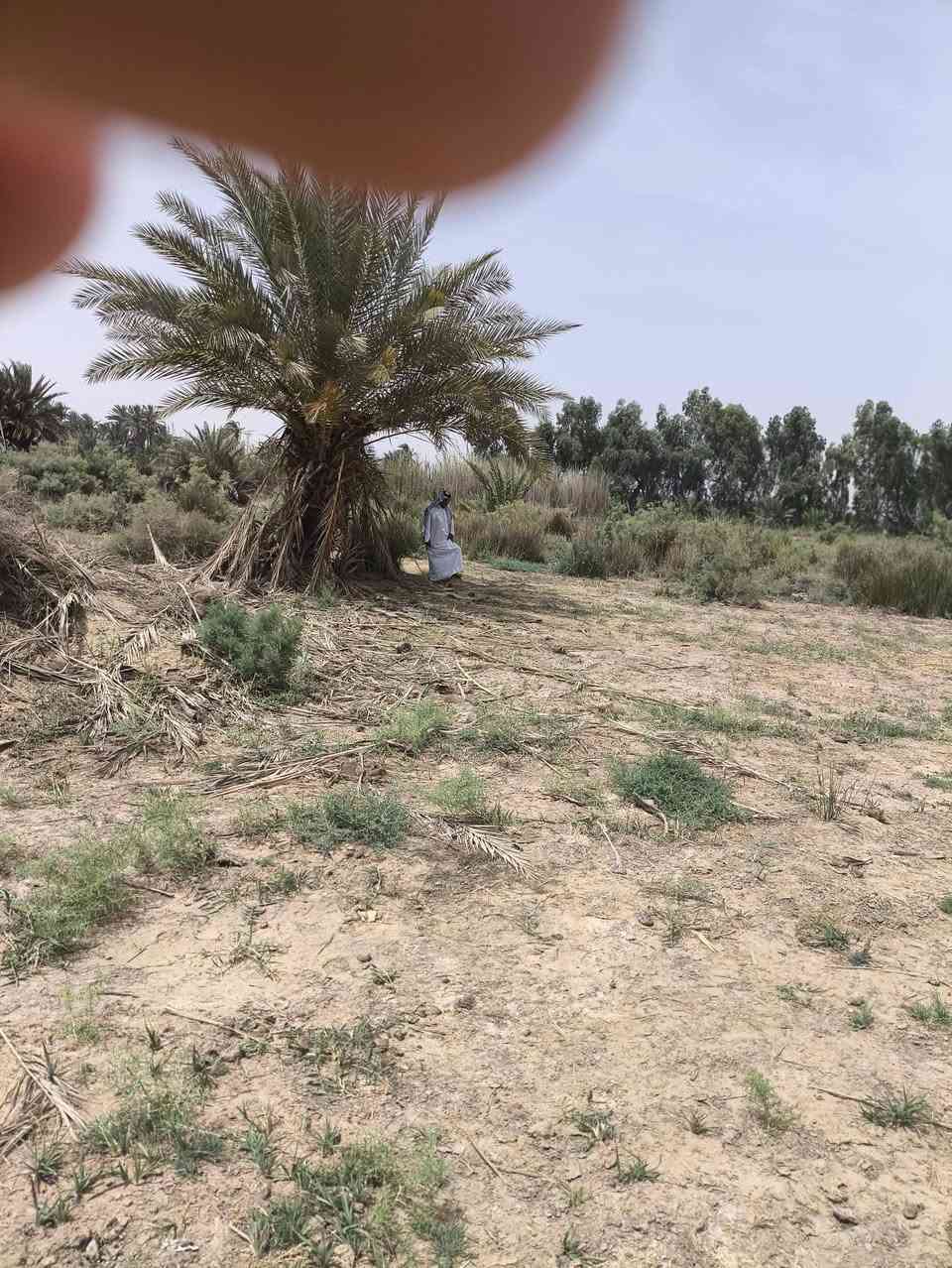 موقعه عل سياحي يم معمل الشتايگر وره ما تعبر معمل الماي مالت الساده  🟥سعره مناسب كلش متوازي عليه واريد ابيعه 🟥قطعه ارض للبيع موقعه كلش حلو متوفر بيه ماي 💦 وكهرباء ومشورع ماي مجاور لها، ارض زراعيه طابو زراعي سند 25 وتصير طابو صرف. المساحه الكليه 1400 متر مربع، العرض 13متر والطول115 متر لتواصل *********** او تفضل خاص
