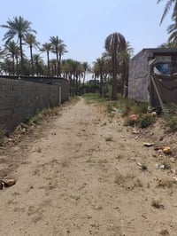 بدايه بنشه نزله سعد بيجو • ٣٠٠متر • طابو زراعي سند ٢٥