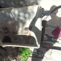 عربانه للبيع سعرها ب٣٠ الشراي يتصل ٠٧٨٩٢٤٢٦٤٤٧