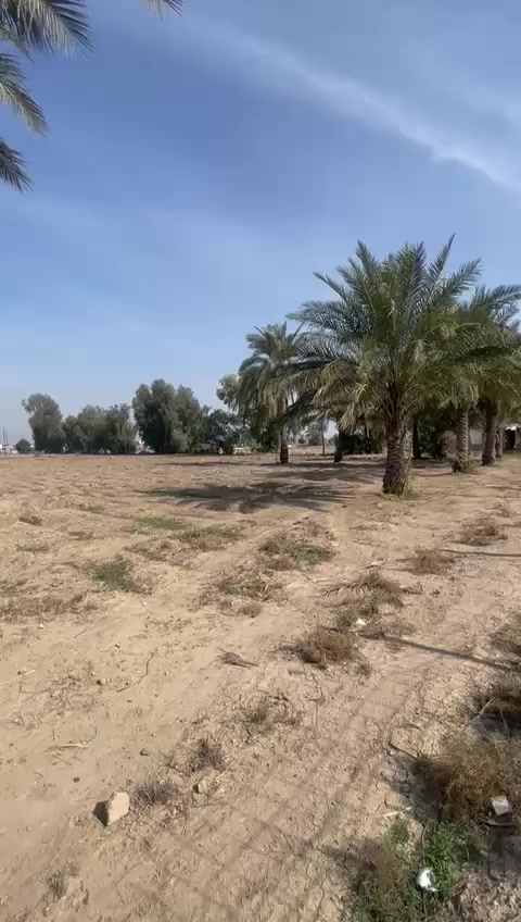 دونمين عرب جبور قريب السريع الجديد ***********
شارع المزارع
