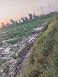 طابو زراعي • ٥٠٠م • قرب سيدنا المنصور