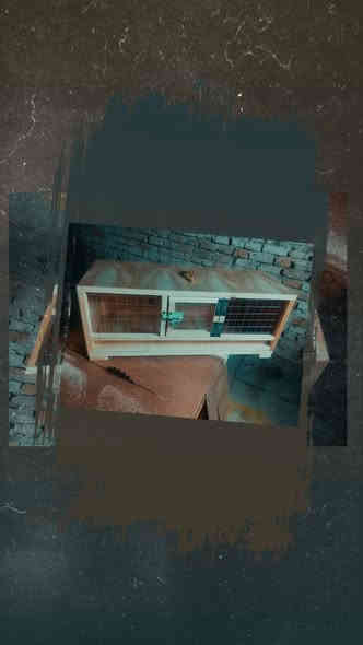 متابعينا♥️ الاصدقاء♥️ الغوالي♥️ كل شيء ♥️يرهم ♥️(جوكر)
يرهم ( نقاله 🕊️حمام )(حاظنه 🐤كتاكيت)( قفص 🕊️فك حمام )
قياس (80*30*30)
سعر(20) ألف 
بغداد مدينه الصدر تقاطع السفاره 
رقم الهاتف ☎️ ***********
