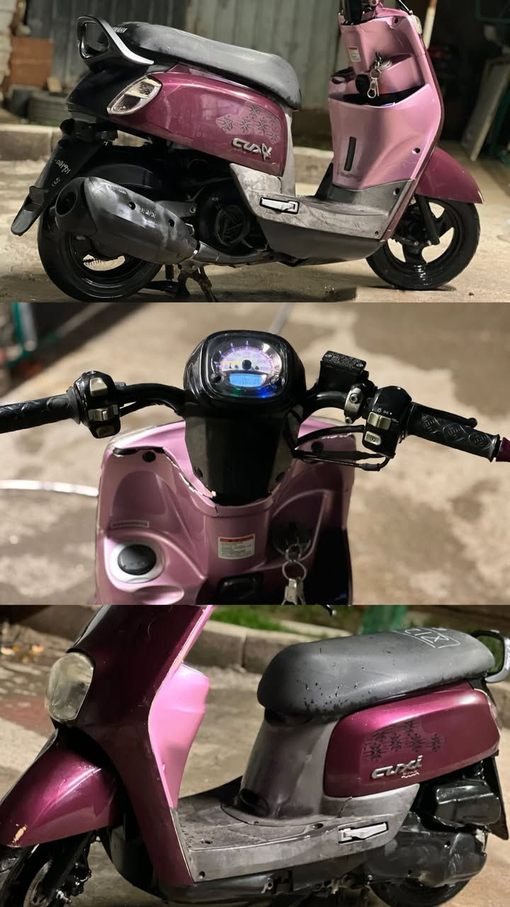 اللبيع   الماروني 1100. نوزل ٢٠١٤ مكفوله قبل شهرين نزلته حاويه 
والثانيه ٩٥٠ نوزل مكفوله
مكاني ابو الخصيب ***********
