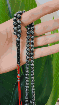 يسر حجازي جديد دگ فضه عين وزنجيل 101 كركوشه حياكه جميله للاستفسار ***********
