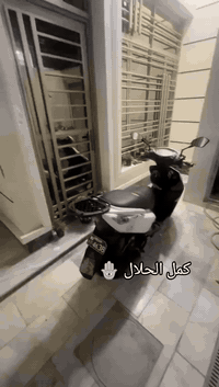 دراجة ماكس ثعلب للبيع دراجه أصولية وبيهة اوراق كاملة +بيهة منفيس مكينة...