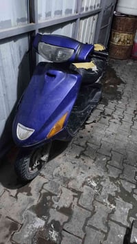 فراشة • ٣٠٠ • مجال