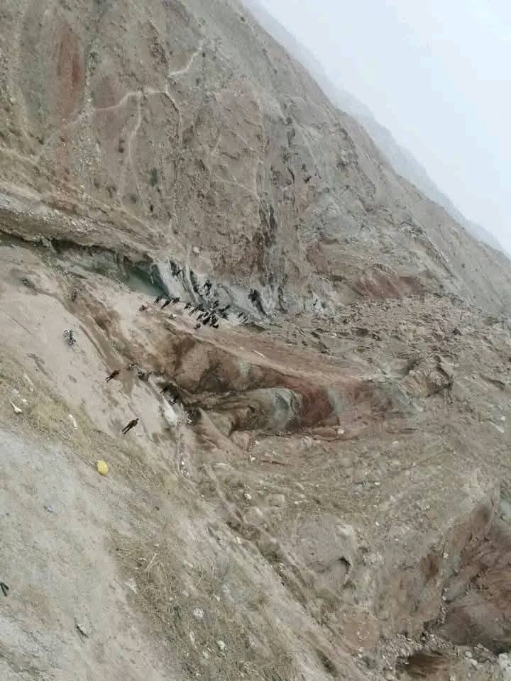 بمناسبه راس السنه رحلتنا 
يوم الخميس الساعه 7الصبح الى 
مزار عبدالله صالح في بدره و زرباطيه عوئل فقط لحجز والاستفسار
***********اتصال***********وتساب
