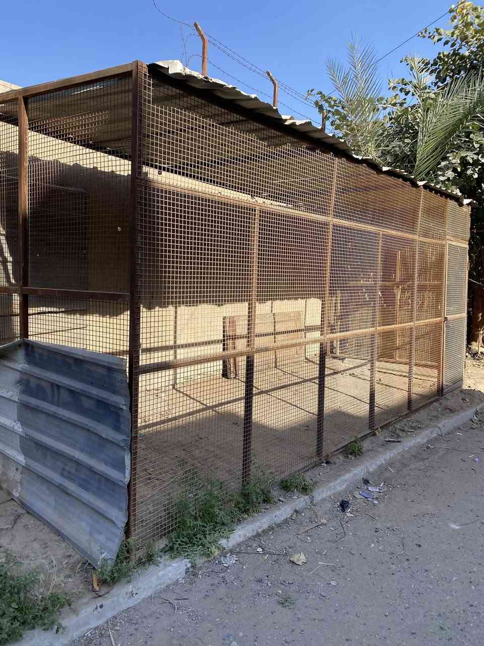 قفص حديد البيع


**إذا كنت صاحب هذا الإعلان وتريد حذفه لأي سبب، رجاءا أرسل رسالة إلى الدعم الفني**