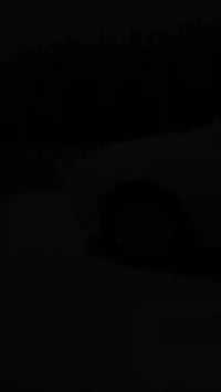 النترا • ٢٠١١ • ٣٦٠٠٠ كم