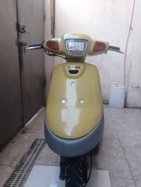بطة • سلف • كهربائيات