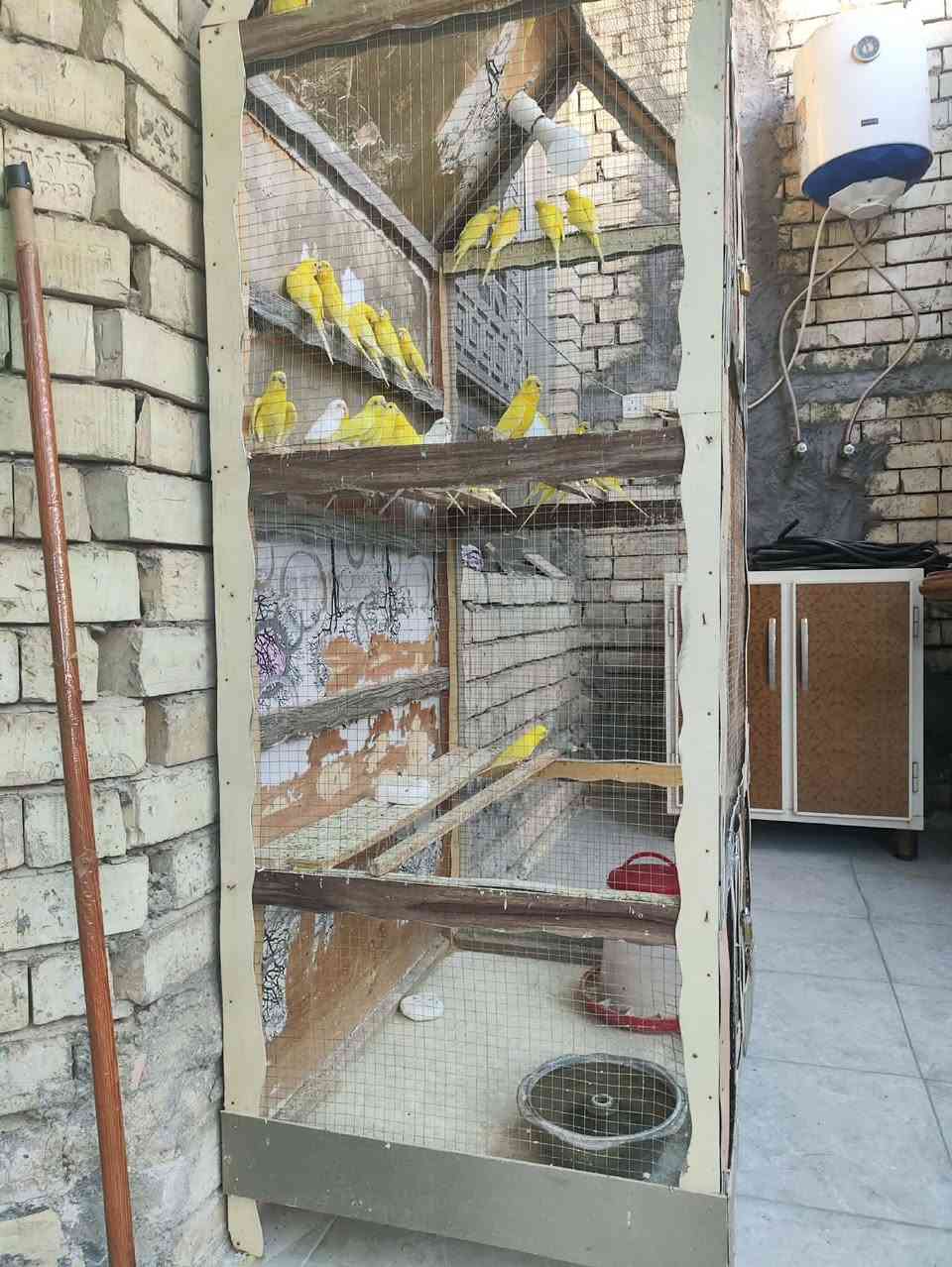 مكلف بنشر

طيور حب للبيع 

مكانهن الجغيفي 2 

للأستفسار الاتصال

***********
***********
