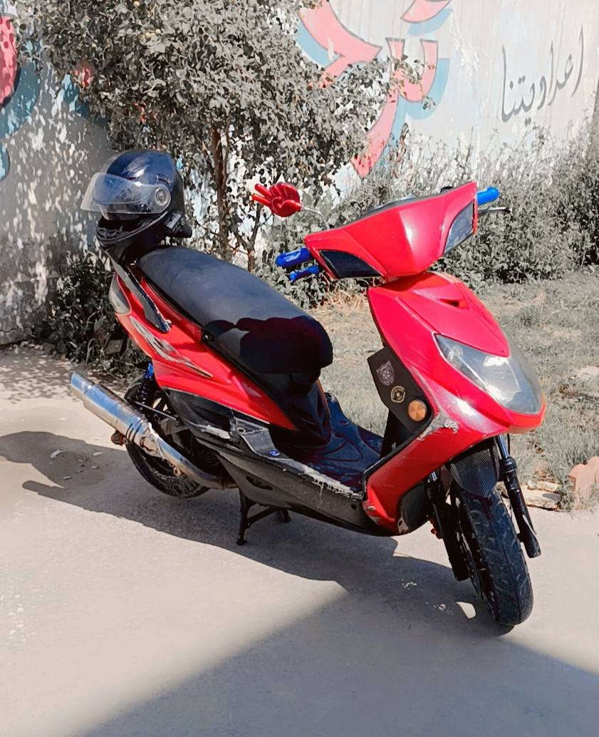 السلام عليكم سكنس فحل مزوده كامله لايت زنون جاهزه من كلشي لاتنقيص ولاتبخير صلنصه رياضي كفرها بلادي وياها ثنين صالنصات بلادي والثانيه رياضي مشدود استان رياضي صفح للبيع فقط السعر 600
وبيها مجال قليل مكانها بغداد ***********
