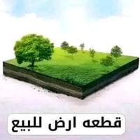 ابو الشام شارع الحشد • ٤٠٠م • سند