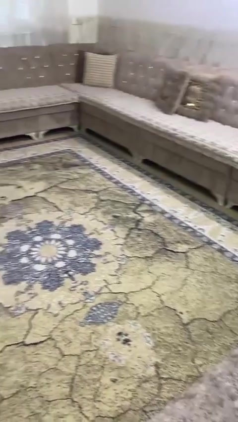 سجاد للبيع نظيف جدا


**إذا كنت صاحب هذا الإعلان وتريد حذفه لأي سبب، رجاءا أرسل رسالة إلى الدعم الفني**
