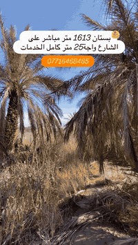 ⁨بستان في ابي الخصيب 

.

⁨ بستان في ابي الخصيب 

***********

.
‪‪‪@abi_alkasiib‬‬‬ ⁨ ابي الخصيب  طابقين للبيع ابي الخصيب #ابي_الخصيب #الخصيب #ابوالخصيب #ابو_الخصيب #الخصيب_عوسيان خصيب البصرة بصره تجمع الشعب_الصيني_ماله_حل😂😂 اعاده_نشر🔁 اعادة_النشر🔃 لايك مشاهدات lik instatravel instagram viralvideos basra abu_alkasebوطن بغداد أخبار خبر اخبار⁩⁩⁩⁩⁩⁩⁩⁩⁩⁩⁩⁩⁩⁩⁩⁩⁩⁩⁩⁩⁩⁩⁩⁩⁩⁩⁩⁩⁩⁩⁩⁩⁩⁩⁩⁩⁩⁩
