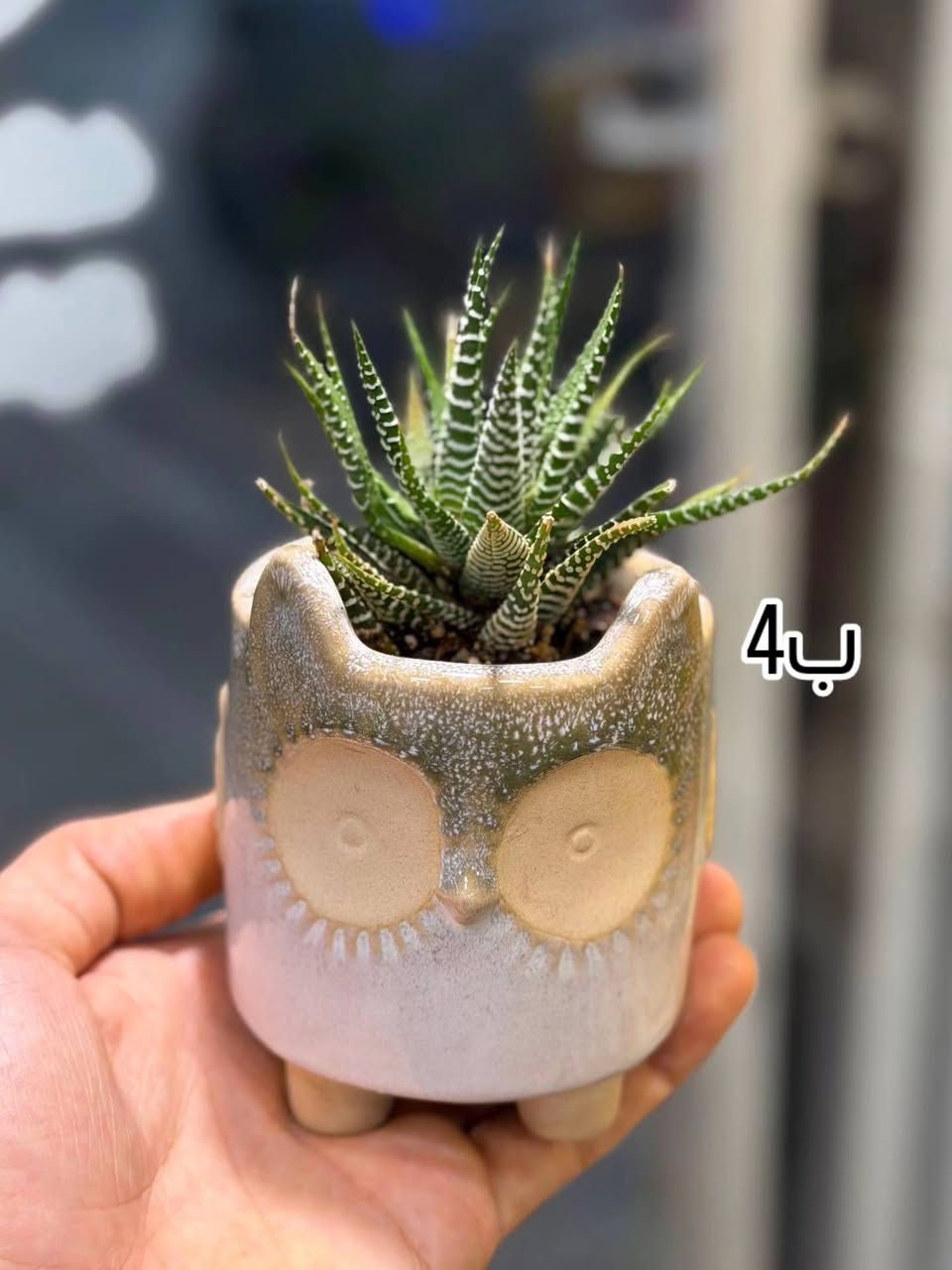 إذا تحب الزرع المرتب والجاهز 🌱
احنه نوفر سنادين مزروعة ومنسقة بشغل يدوي
بأسعار مناسبة للجميع


**إذا كنت صاحب هذا الإعلان وتريد حذفه لأي سبب، رجاءا أرسل رسالة إلى الدعم الفني**