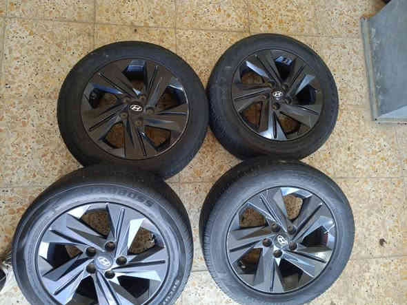 تخم ويل كب الانترة 23 أصلي شركة العنوان بغداد الشعلة ***********
***********
