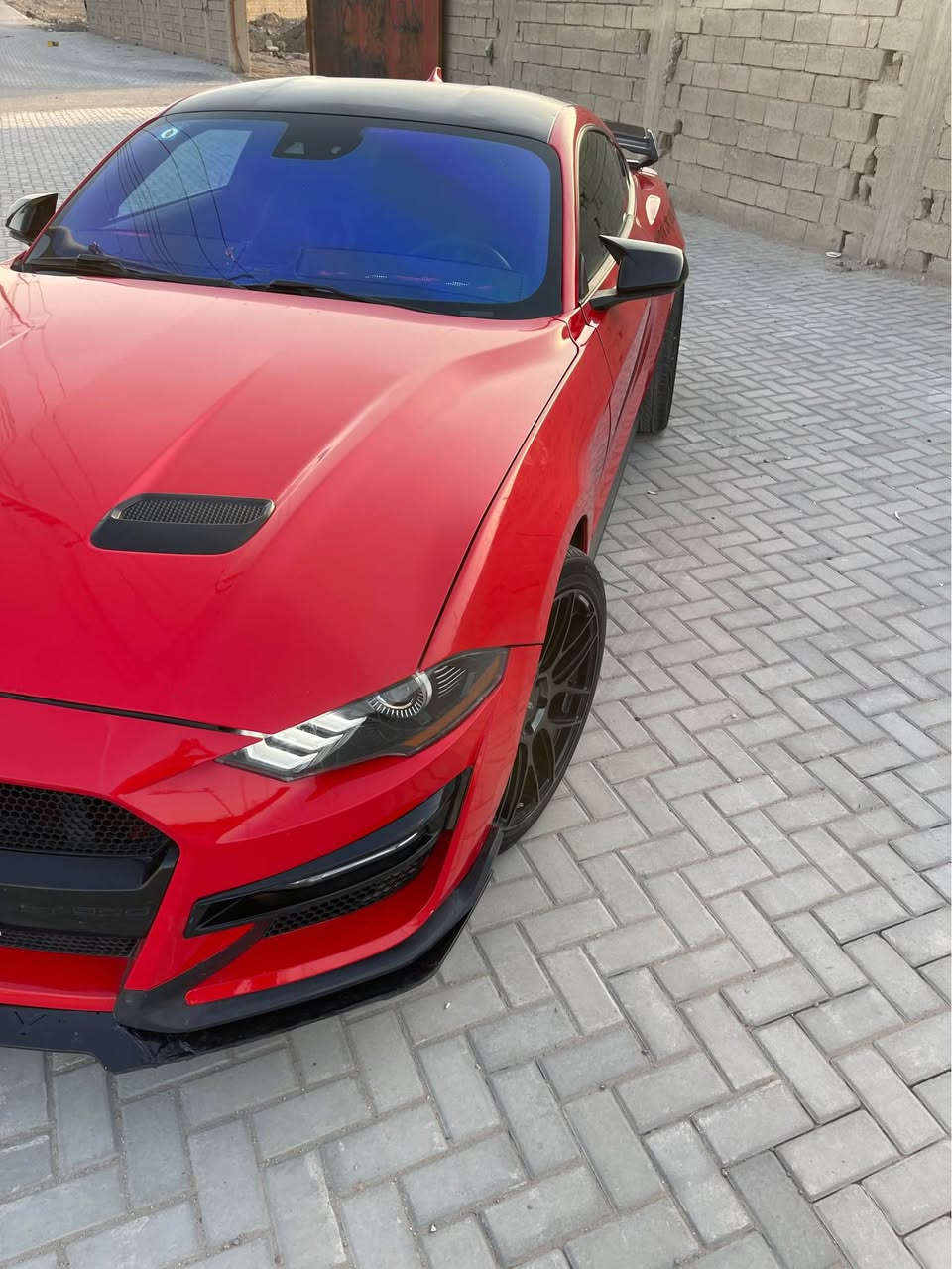 سلام عليكم موستنك 2021 ايكو بوست بلاص الأصدار الأخير
اللون احمر ناري مميز
رقم بغداد تحويل ثاني يوم 
موصفات السيارة :
كشنات جلد 
شفتات ستيرن 
انضمه قيادة 
8 نمر
تبريد تدفئه كشنات
تحكم ستيرن عام
دخول ذاتي 
ترحيب مميز
محرك ايكو بوست 
السيارة كلشي عليها جديد كت كامل شيلبي من (أ_ي) حادثها بنيد وجاملق الشاصي بيه تعديل شويه 
ابيع الك 4 قطع صبغ لأن بيها تطابق الوان السعر 135  
مكاني بصرة ابي الخصيب رقمي 
                                             *********** البصرة, العراق

