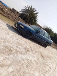 فكتره • النهروان • أوراق