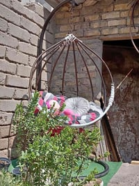 كنبة • صوفا
