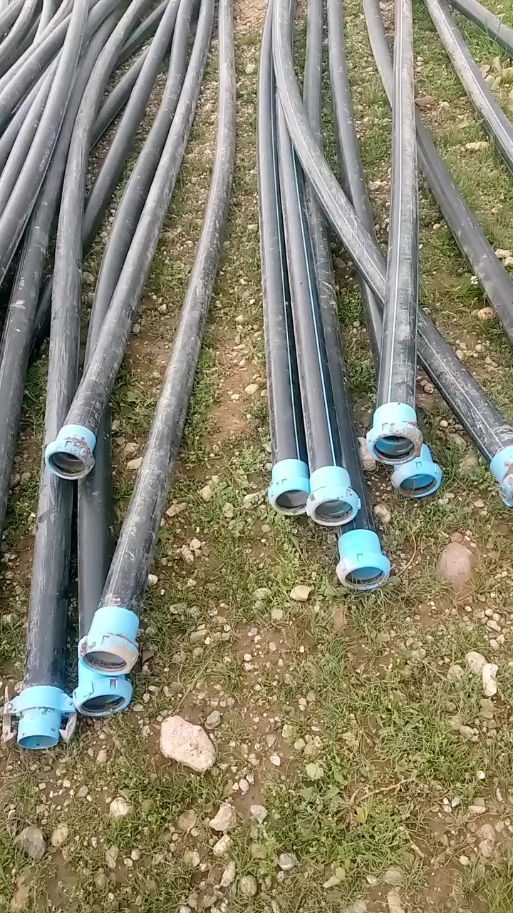 للبيع العدد ٤٠ بوري  السعر ٦٠٠٠  قريه كبيبه 
0774099121


**إذا كنت صاحب هذا الإعلان وتريد حذفه لأي سبب، رجاءا أرسل رسالة إلى الدعم الفني**