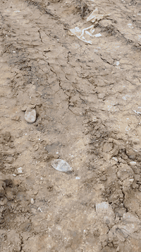 قطعة طابو للبيع في حي الجوادين بجوار الركن للاستفسار أكثر اتصل على الر...