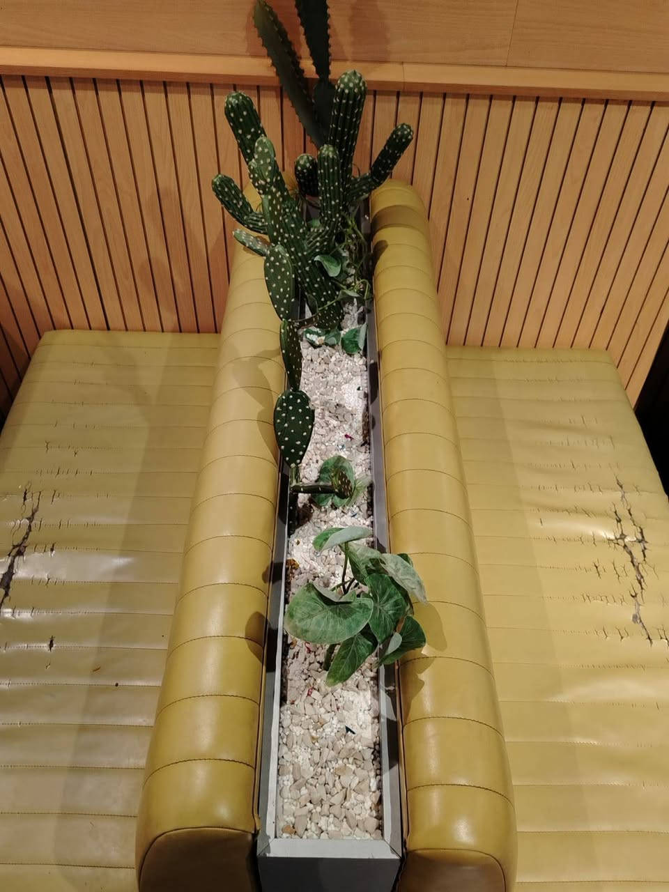 جلسات #عدد  10  +  #سنادين عدد 5
#طول الجلسه  متر و ٨٠
#طول السندانه  متر  و ٨٠
#السعر الكلي  مليون ونص بي مجال 
#العنوان : بغداد حي البنوك 
#مقابل مستشفى الشعب
الي يريده يتصل بالرقم 
‏‪0774 196 8336‬‏
#واتساب  #واتساب  #واتساب 
#يرجى متابعة الصفحه (طلب صداقه )
ليصلكم كل ماهو جديد 
نعمل لخدمتكم 
علي البابلي
