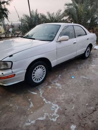 كروان بطه • ١٩٩٣ • رقم نجف