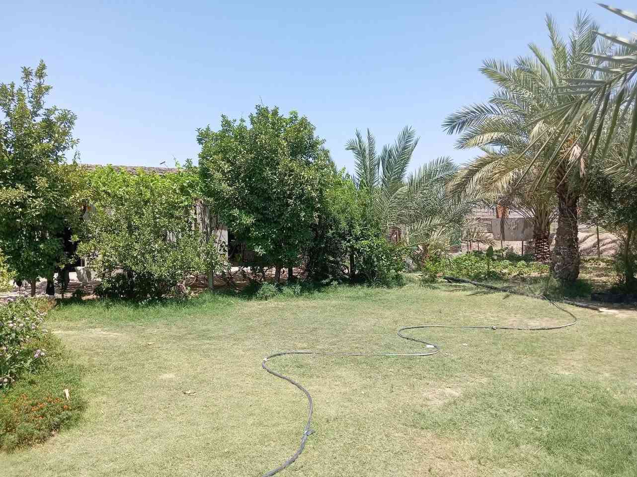 🏡 للبيع قطعة أرض بمساحة 2300 متر مربع
📍 الموقع: قضاء الكرمة – منطقة البصياح – خلف المخازن الغذائية
⏱️ تبعد عن سنتر مدينة الكرمة حوالي 5 دقائق فقط.

✅ الواجهة: 27 متر
✅ النزال: 85 متر
✅ على شارع بعرض 15 متر
✅ جنس العقار: طابو زراعي

🏠 منزل طابق أرضي بناء طابوق بحالة جيدة، يتكون من:

- 3 غرف
- صالة
- هول
- استقبال
- مدخل
- محل تجاري على الشارع بمساحة 4×6 متر

🚗 كراج يتسع لـ 8 سيارات

🌳 حديقة أمامية كبيرة وحديقة خلفية تحتوي على أشجار مثمرة:

🍈 تين
🫒 زيتون
🌴 نخيل
🍇 شجرة عنب

🏗️ جعب مسلح بقياس 14.5 × 14.5 متر

🔒 القطعة مسيجة بالكامل

💧 ماء إسالة واصل للبيت
⚡ كهرباء متوفرة
🔋 مولدة

⭐ العقار مناسب للسكن والاستثمار والمشاريع الزراعية.

📞 للاستفسار والمشاهدة التواصل على الرقم: ***********___ _______***********
