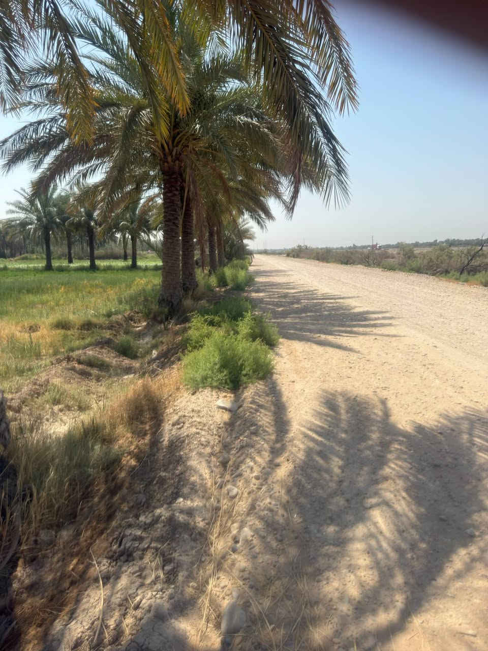 السلام عليكم كاع للبيع 3دونم طابو زراعي سند 25 بسمي تحويل مباشر موقع تجاري ع سريع دولي رابط بغداد بصره خدمات ماء كهرباء متوفر وجهيه 100نزال 100العنوان بابل الحمزه الغربي قرب معمل الشكر الإستفسار ***********/////***********

