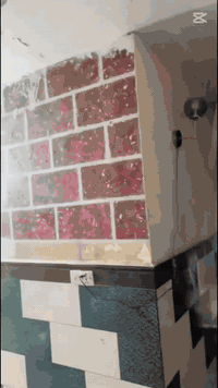 🚫 أنسب لأسعار❓ والي حالته تعبانه اشتغله مجاني 🔕ومن ألله التوفيق🤍🤎
✅صباغ متفرغ🎨 منازل داخل وخارج 💯 أنواع الاصباغ 🔹تصليحات رطوبة🔹بديل الخشب🔹ورق جدران🔹صبغ بيبان شبابيك 🔹صبغ واجهات 🔹ادرجه🔹مانع رطوبة 🔹اخر  اعمالنه في الصبغ 
صبغ وتنضيف وتغير الاوان وصبغ الواجهيات والجدار والداخل والخارج  و الجديد 
في كافه بغداد والمناطق المجاورة عمل مستمر 
وبأنسب السعار 
ستمراريه في العمل 
جميع الماكن المرتفعه 
👇🏻مراسلة وتساب او تصال 📲
‪‏‪***********‬‏
