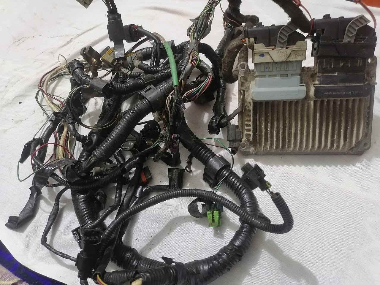 ضفيرة وعقل مال جيلي موبل كير عادي مشروطة للبيع السعر ٢٠٠ الف ناصرية اني ***********
