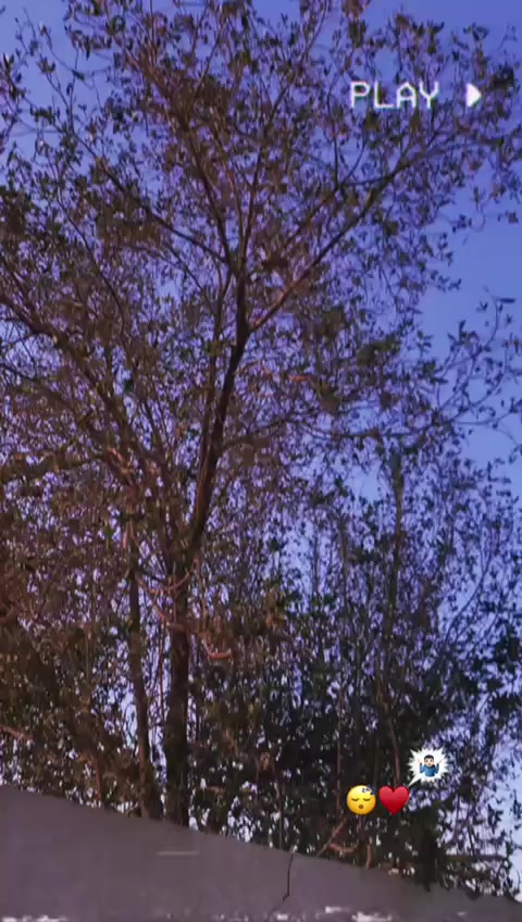 دراجه سكنس جبلي بلاد كفاله عمامه من الكص ومن الفتح كلجات رياضي بلاد وبيه مدكر امامي رياضي  صاله 14 يوم من منزله من الرمبه سعر 1450 بيه مجال قليل لشراي مكان البصره خور الزبير
رقمي ***********
