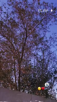 سكنس جبلي • رياضي • خور الزبير