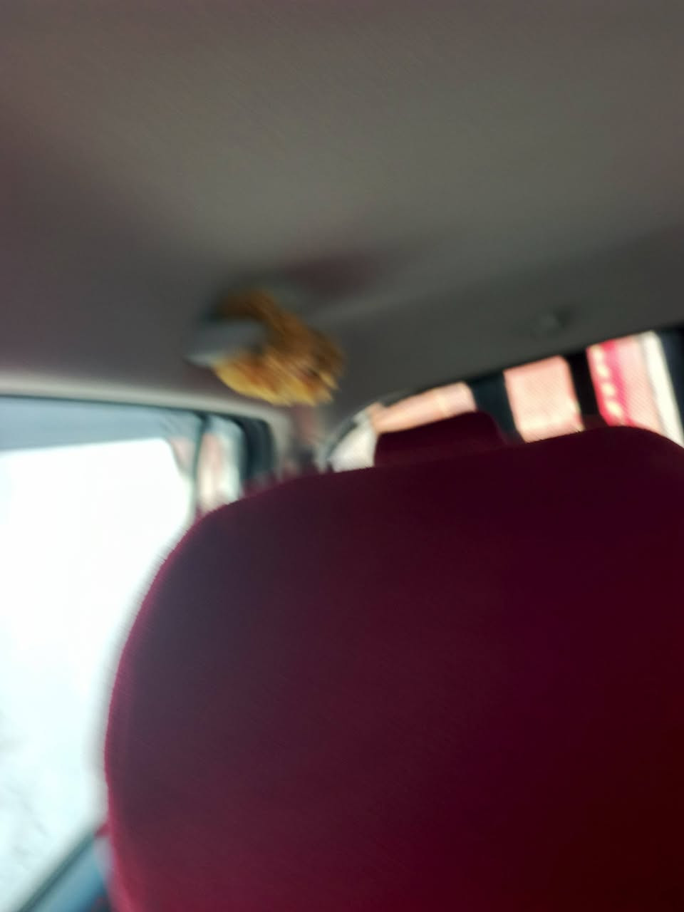 سلام عليكم ورحمه الله.   سياره للبيع موديل 25 فول مواصفات. وتماتيك بصمه.  رقم بصره.     ماشيه بس 20. الف.   العنوان ناصرية.   ترهم مراوس.   ***********
