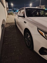 اوبتيما • ٢٠١٩ • النجف