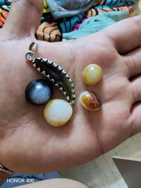 ناب ذيب اصلي • سليمانيه • مدينه الصدر