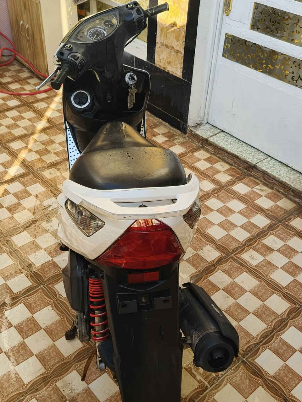 سلام عليكم ماكس ثعلب للبيع بغداد الحسينيه 
للاستفسار 👈🏻***********
متواجد واتساب
