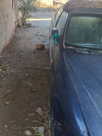 صدامي • ٢٠٠٤ • بابل