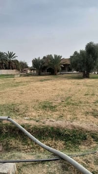 أبو غريب الشيحه • ٢ دونم • غير صالحة للشاليهات