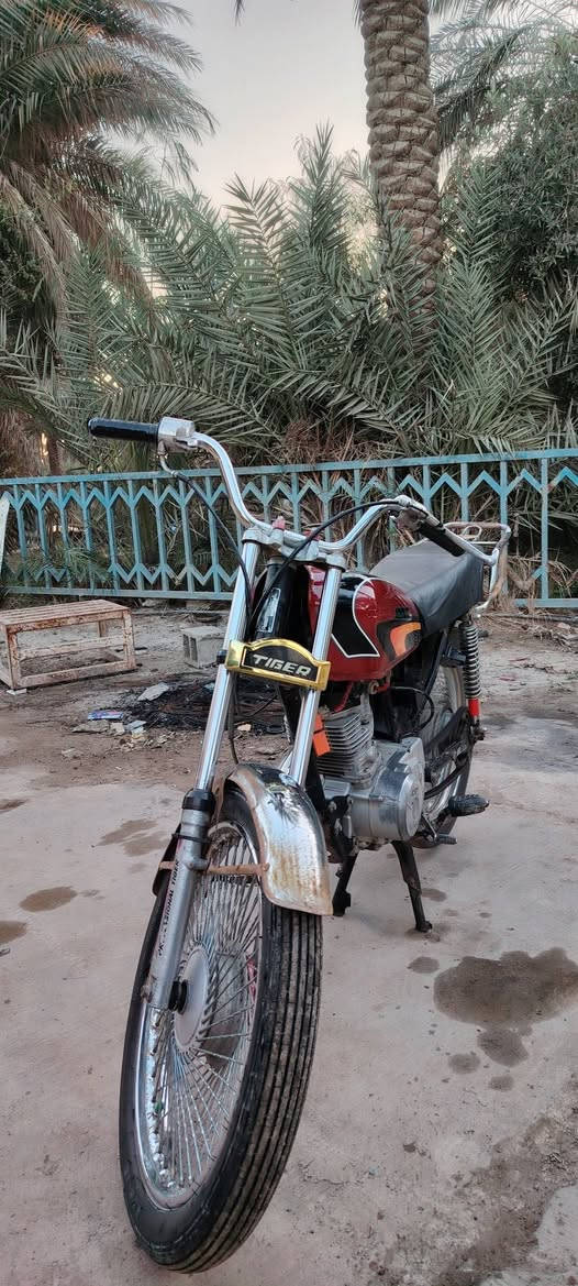 مراوس حسب القناعه تايكر مديل 20 كفاله مكاني بغداد ناحيه الوحده قرب  بمسايه ***********
