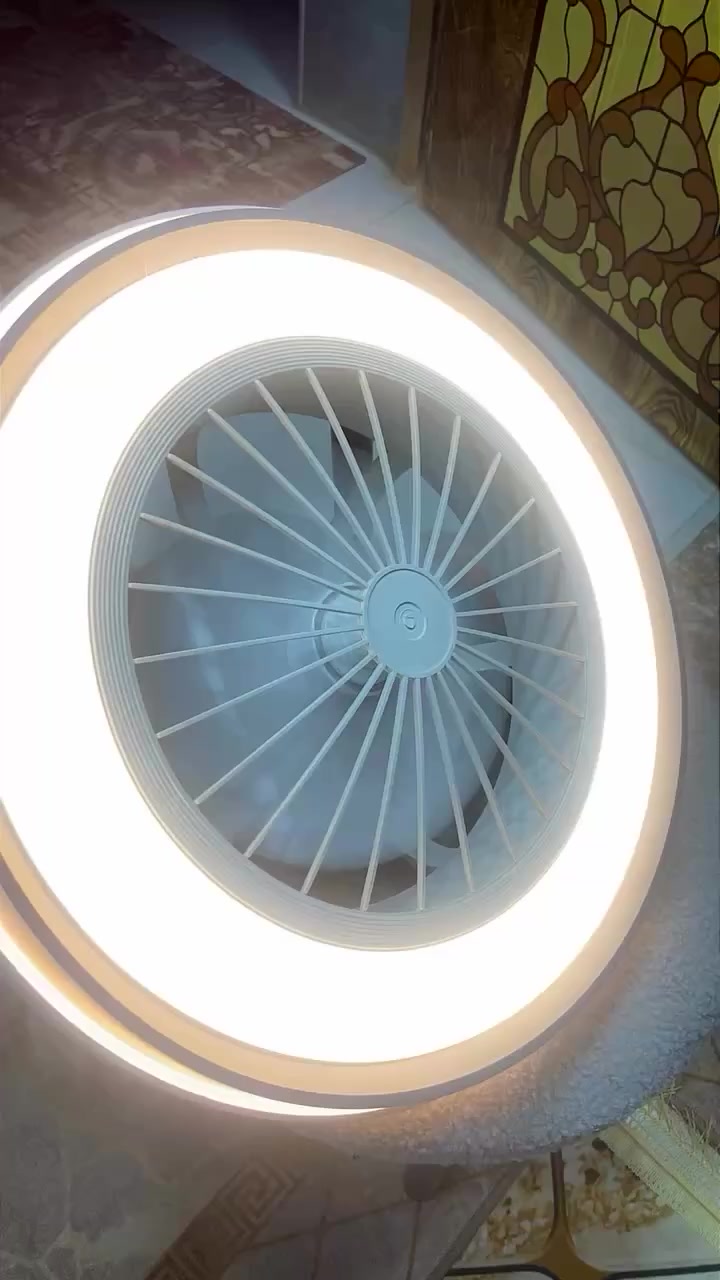 مروحه لد 6 سرعات تحكم ريموت


**إذا كنت صاحب هذا الإعلان وتريد حذفه لأي سبب، رجاءا أرسل رسالة إلى الدعم الفني**